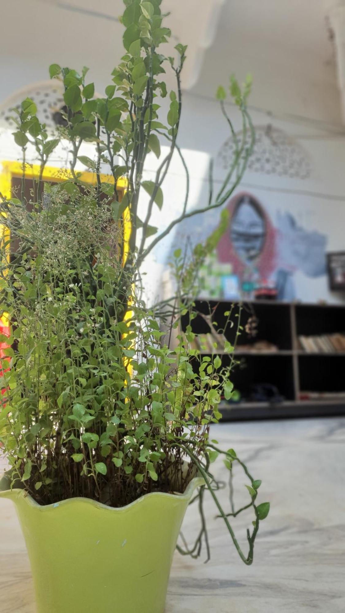 Anand Hostel Пушкар Экстерьер фото